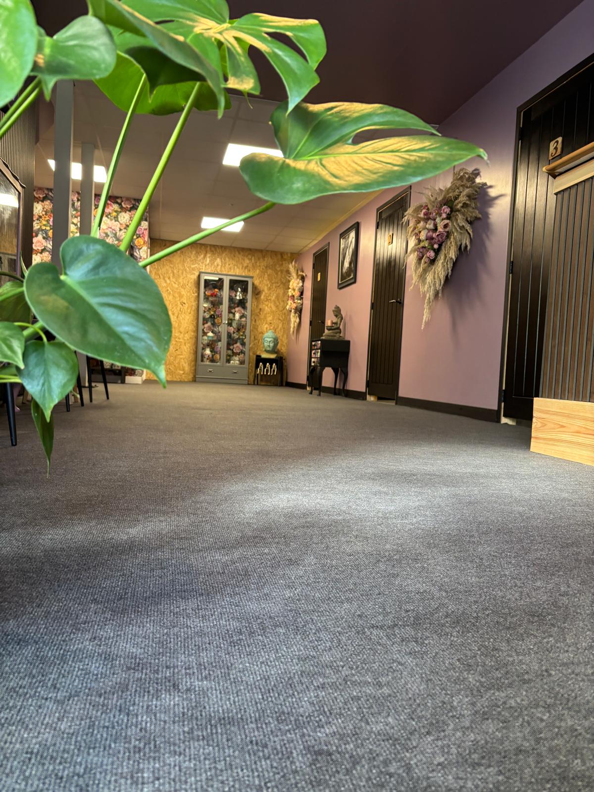 Shadyz Tanning Salon - Westpark, Wellington, Somerset Shadyz Tanning Salon - Westpark, Wellington, Somerset